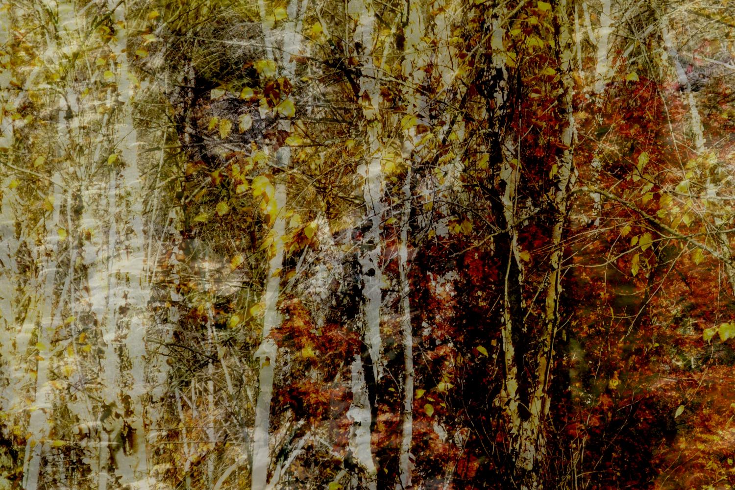 -feels-of-late-AutumnL1370524-e