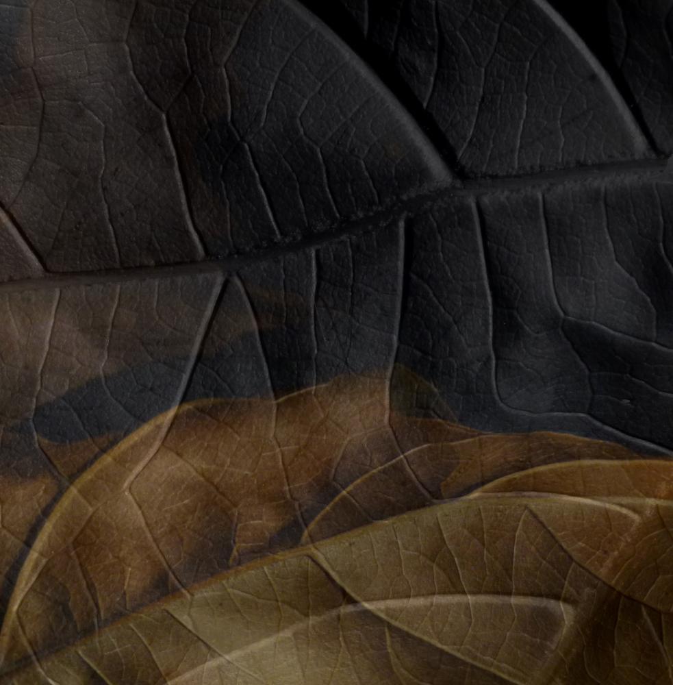 Autumns-Breath---a-story-of-water-2