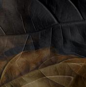 Autumns-Breath---a-story-of-water-2