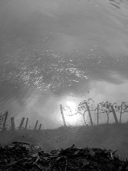 664798652533143660063611736081506757246976n