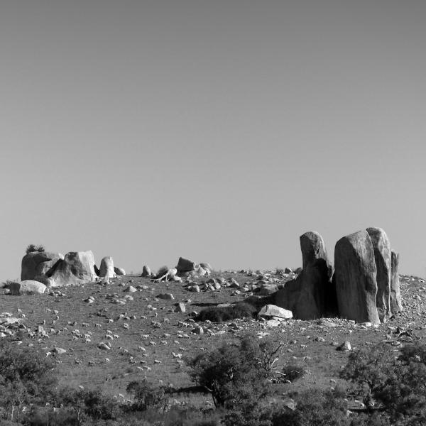Tidbinbilla---Sheep-Grazing-a-Far-Ridge-L1030278