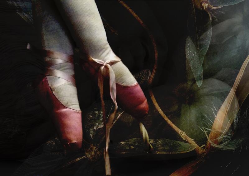 I-Drempt-I-was-dancing-in-the-Garden---2021