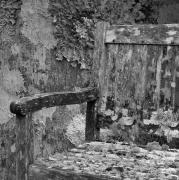 Chair----2020-Textures-of-life-series