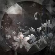 Circular-Thinking-2---My-Garden-My-Island