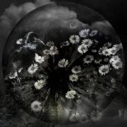 Circular-Thinking-3---The-Raven-Arrives