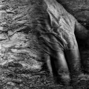 Skin-Bark---2020-Textures-of-Life-Series