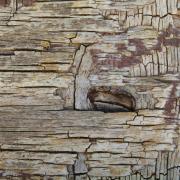 L1290633-The-Sleeping-Eye