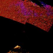 Kingston-Foreshore---Hot-Pavement