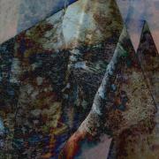 Kingston-Foreshore---Water-Relections-On-A-Tree